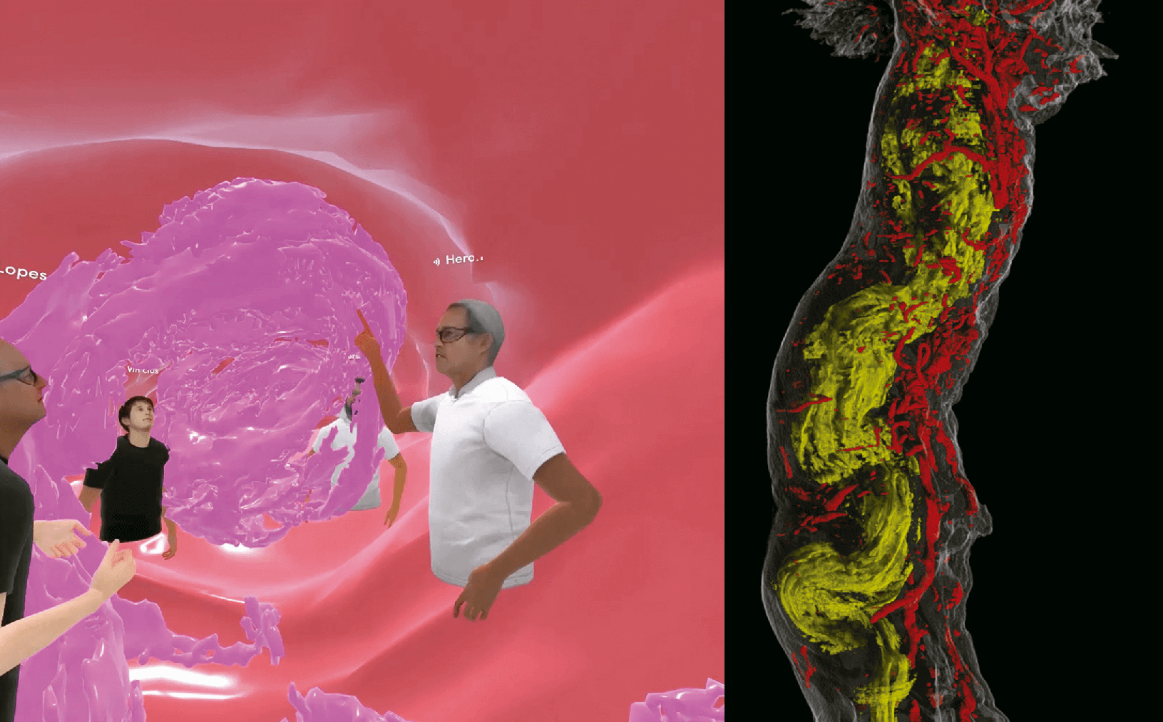A New Perspective on Gynecological Imaging