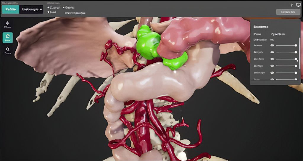 Preoperative Surgical Training