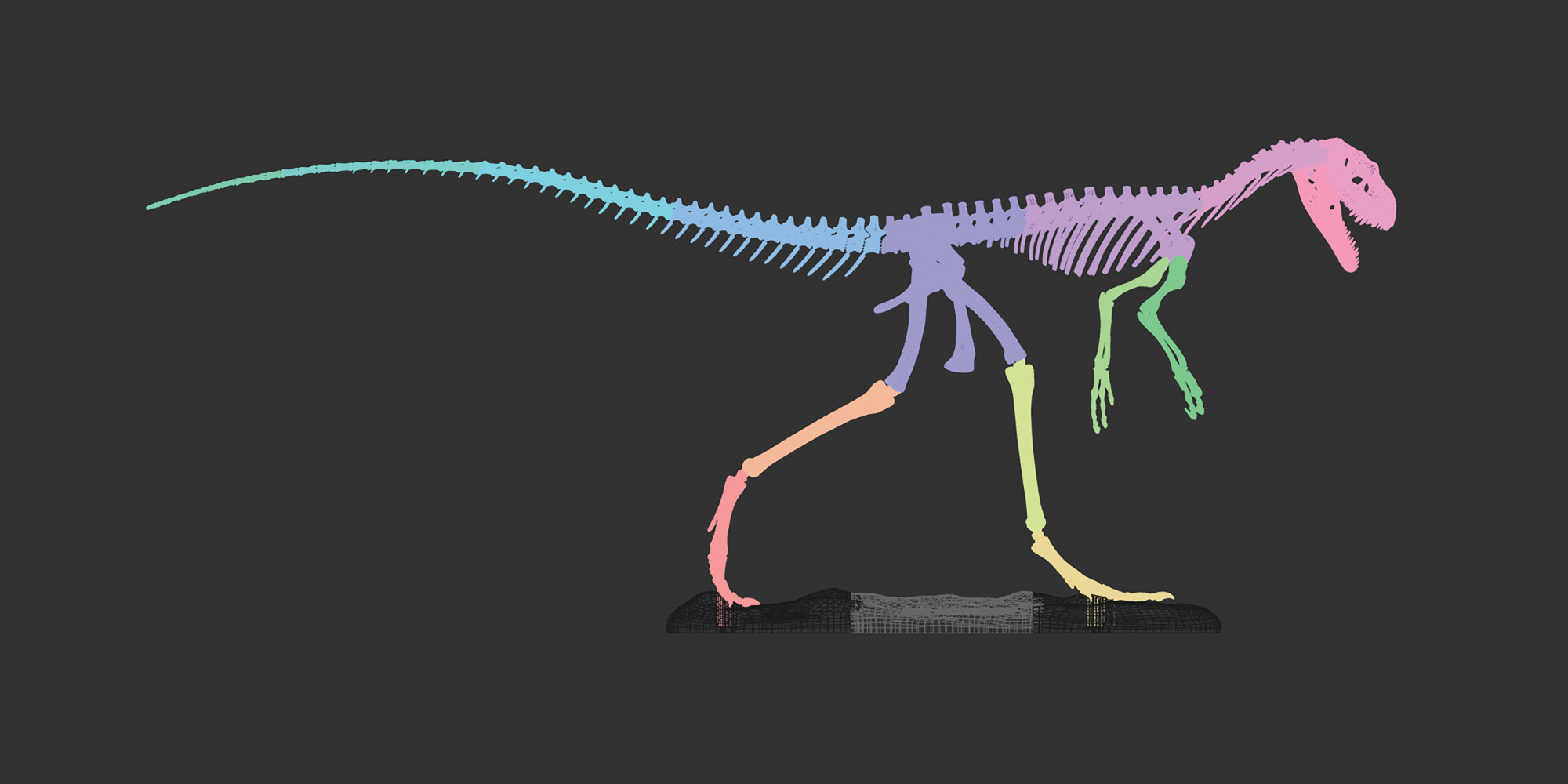 Dinosaur from fossil to digital and to exhibition