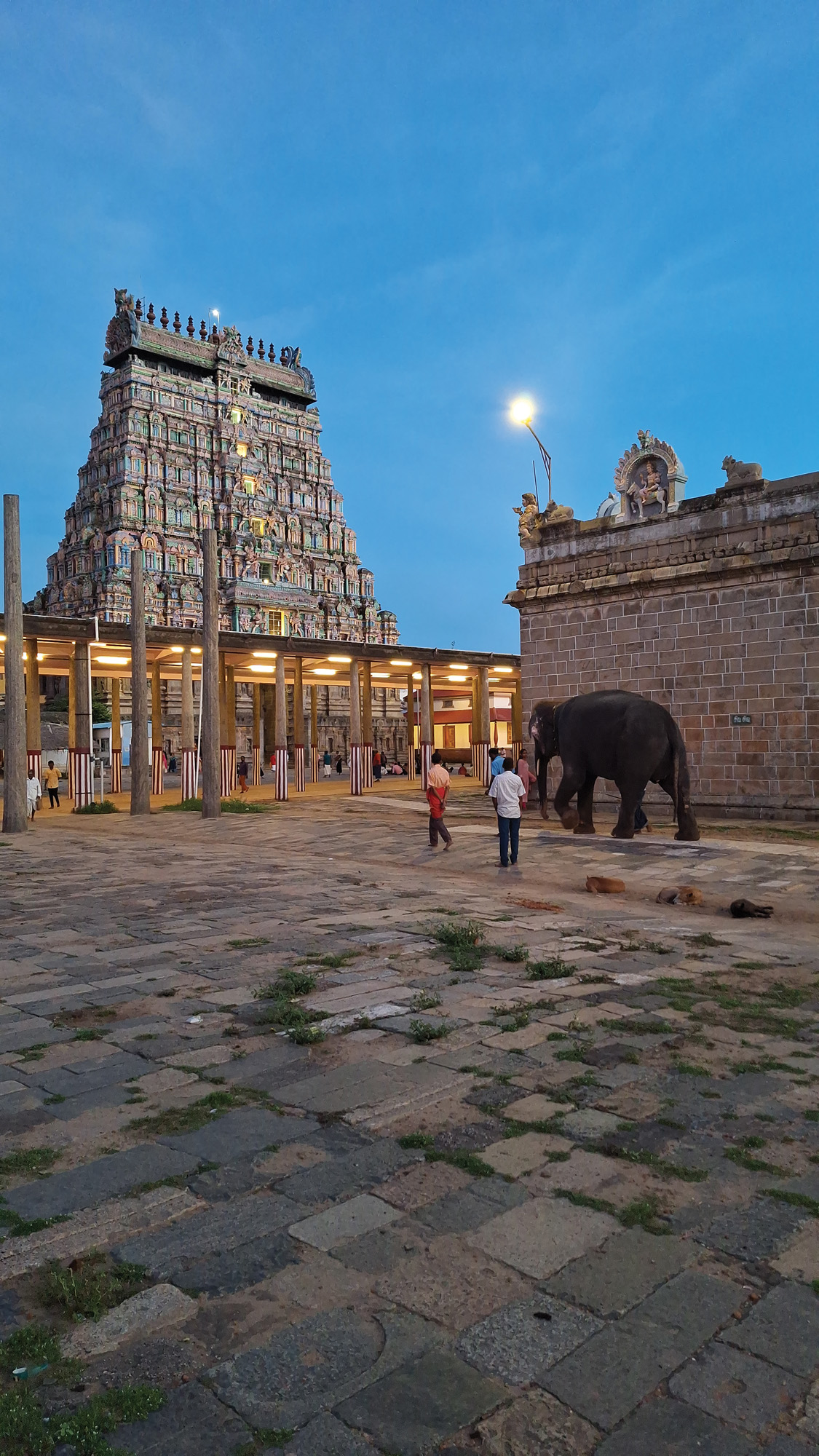 THILLAI NATARAJA: THE TEMPLE OF THE DANCING GOD SHIVA