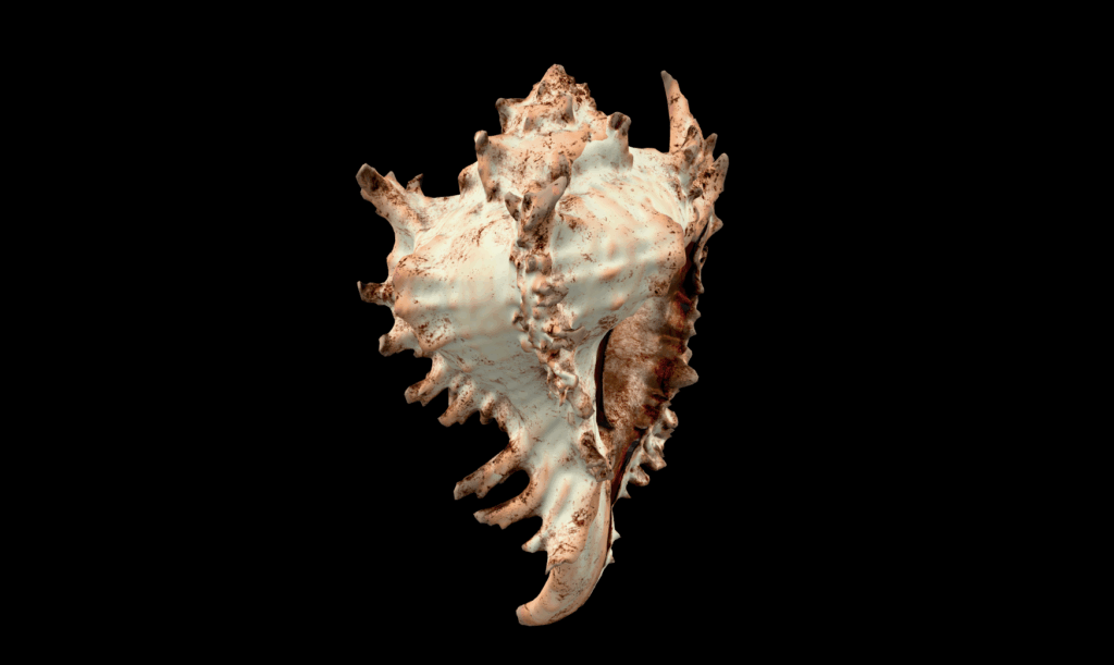 COCOON
