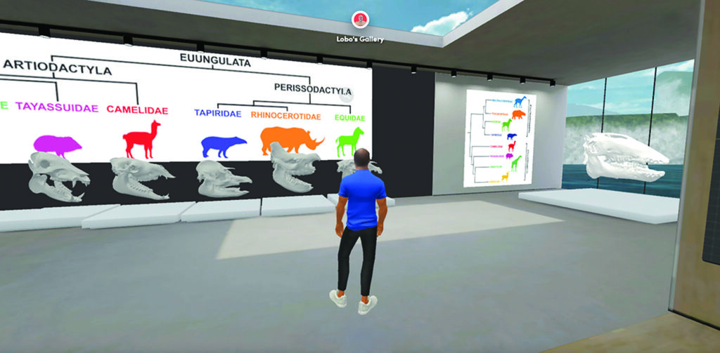 Lobo´s Gallery
