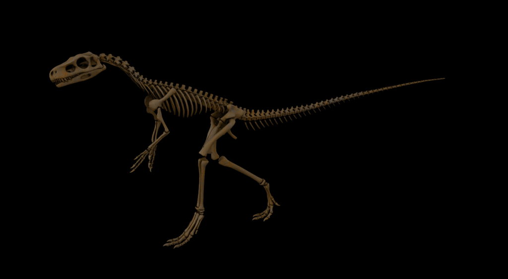Staurikosaurus